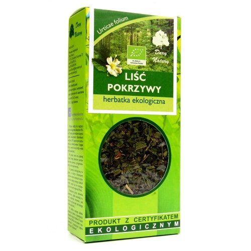 liść pokrzywy.jpg